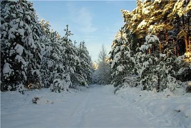 《四海兄弟：故乡》PC最终配置需求 4070Ti爽玩